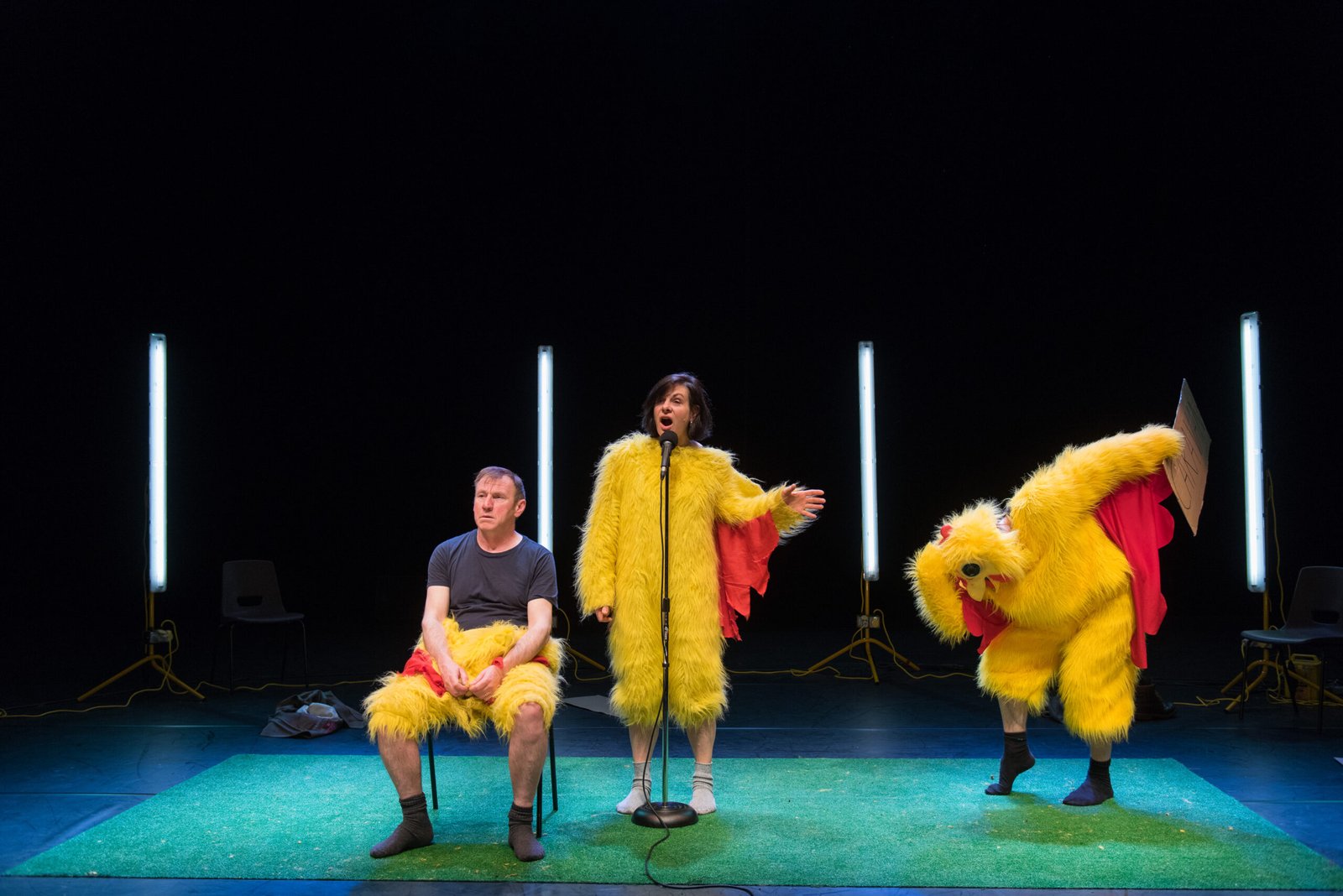 The Amateur Botanist Talks Merrily Into the Night: Some Notes on Neurodivergent Performance (and How to Make It)